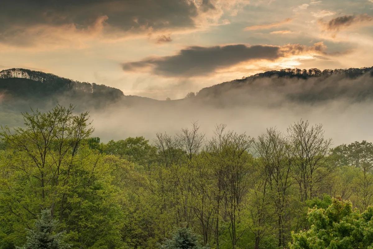 A panoramic view of a lush mountain range, dense greenery, and fog gently rolling over the hills. The tranquil, untouched landscape evokes the serenity and beauty of the Matney countryside during warmer months.