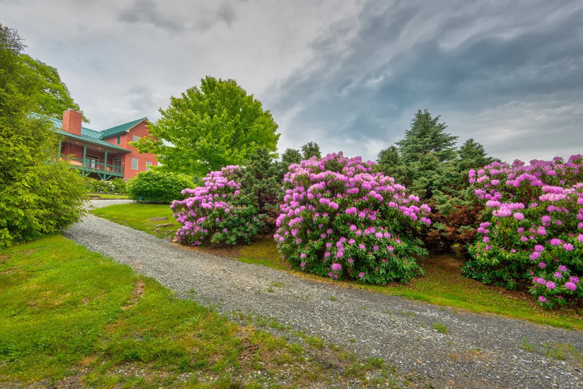 A cheerful exterior shot featuring vibrant pink flowering shrubs, green trees, and the red house, immersing the viewer in a lush, blooming garden. The scene highlights the fullness of the yard in summer, alive with color and life.