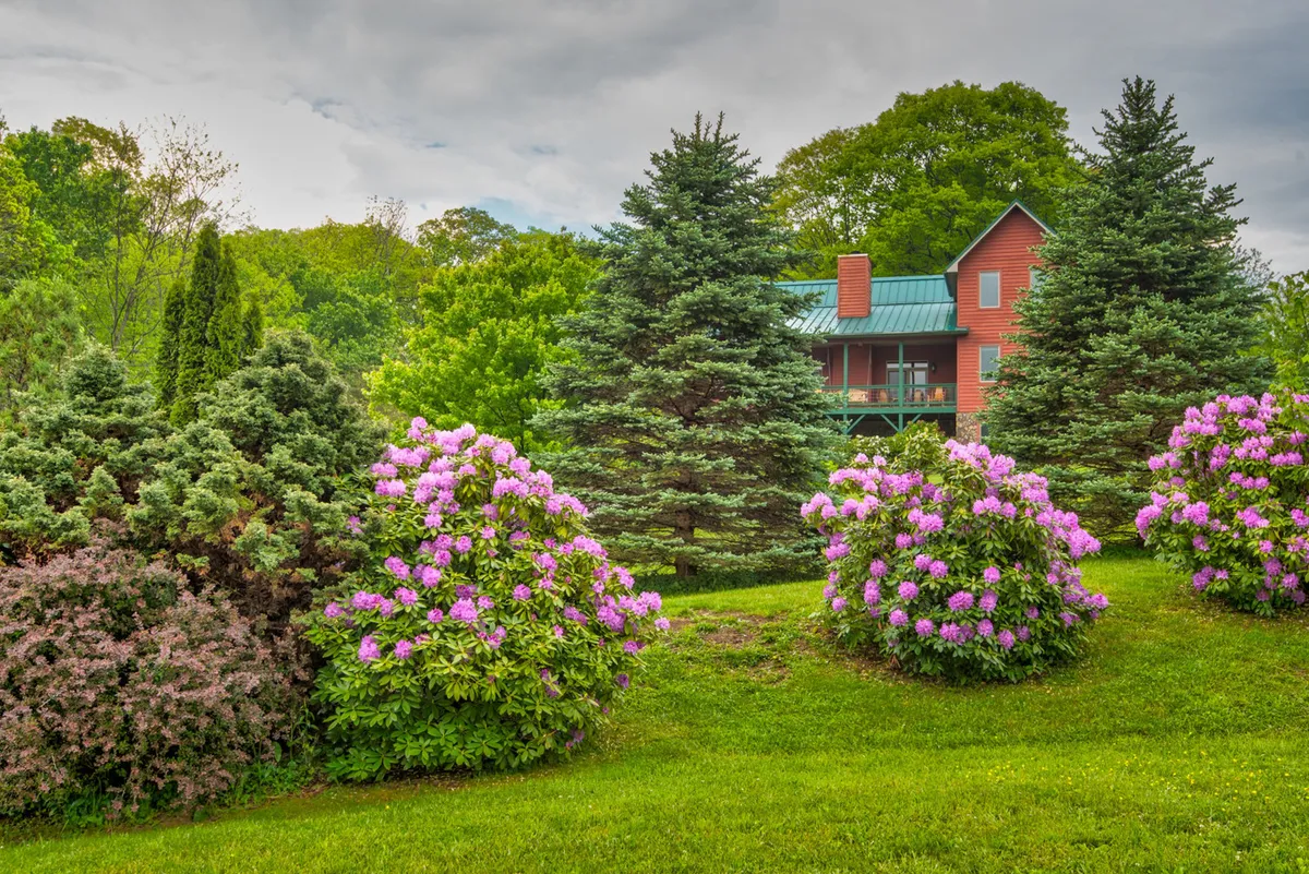 A welcoming exterior shot featuring vibrant pink rhododendrons, lush green grass, tall evergreen trees, and a distinct red house with a green roof. The scene radiates a sense of serene mountain living and offers hints of both adventure and relaxation.