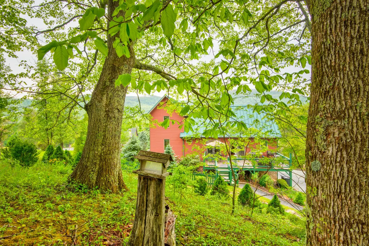 A peaceful outdoor scene with large trees, a prominent birdhouse, the red house, and abundant green foliage. The setting invites birdwatching and observing wildlife from the yard, with a tranquil natural ambiance.