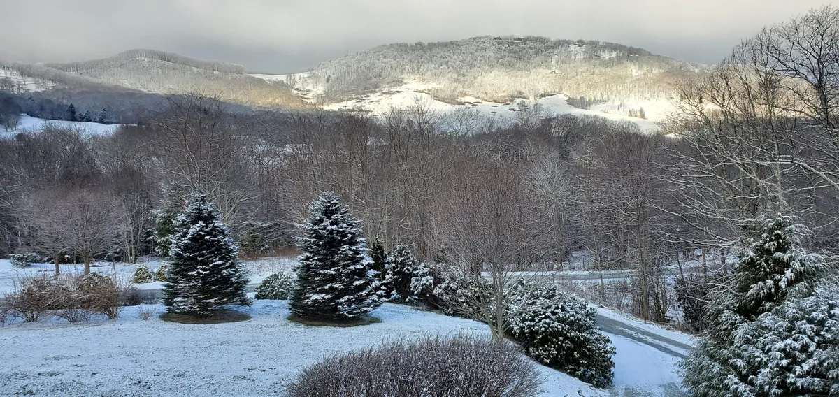 A breathtaking view of snow-covered mountains and evergreen trees, with a pristine snowy landscape stretching into the distance. The wintry scenery captures the essence of mountain adventures during the colder months.